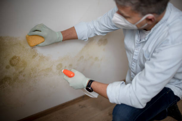 Water Damage Restoration in Lucedale, MS